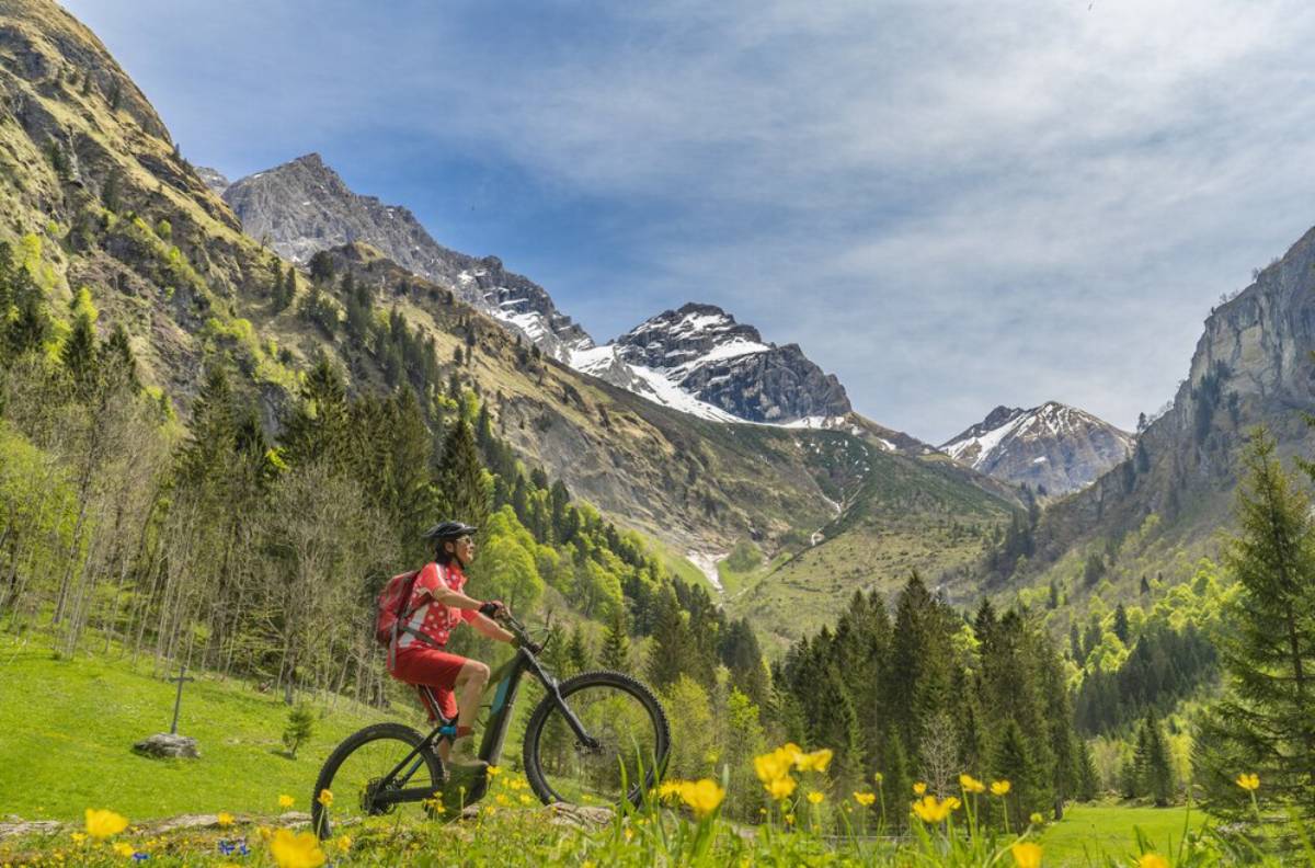 A person mountain biking through a lush valley with snowy peaks in the background.